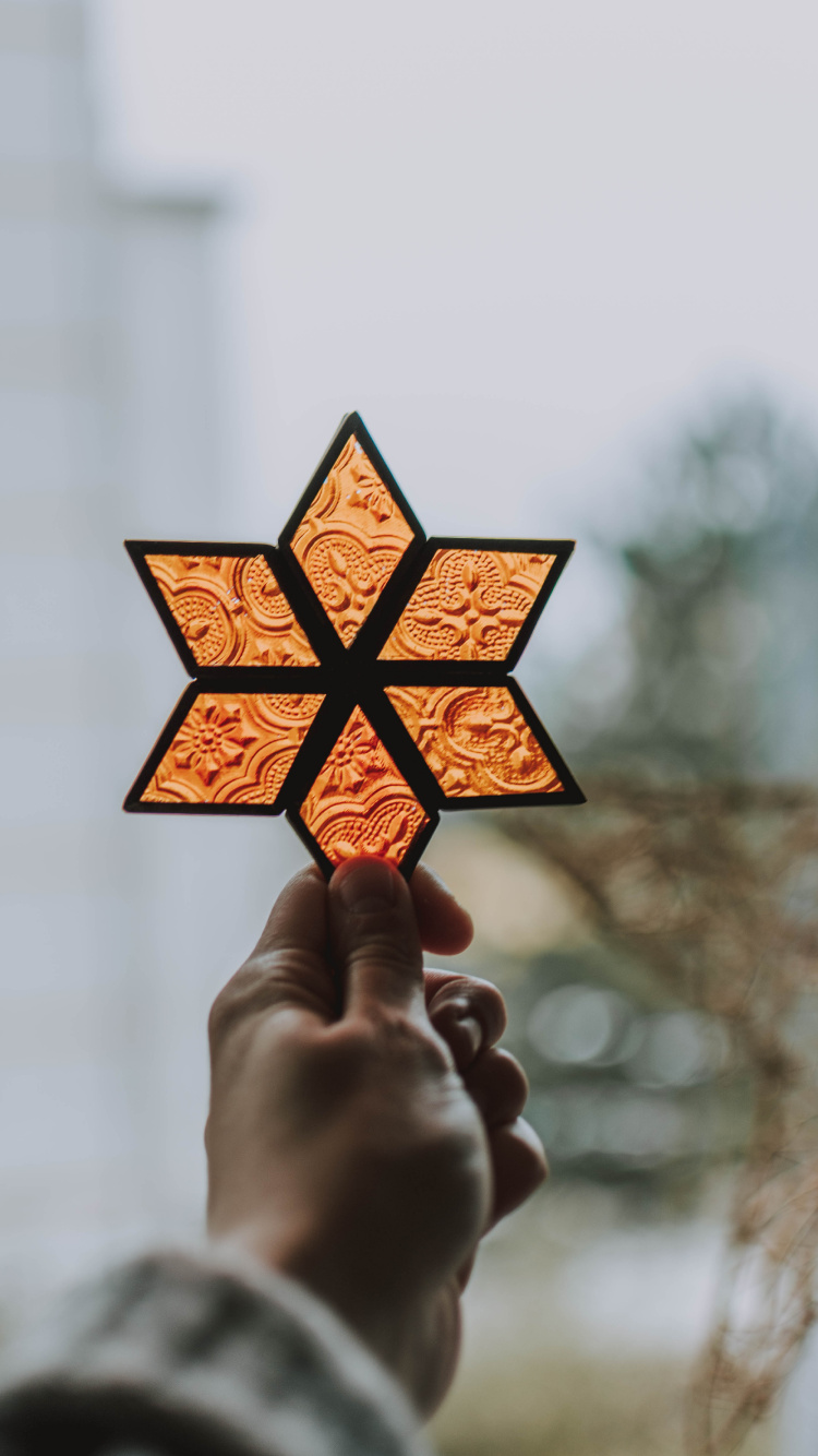 Person Holding Orange and Black Star Lantern. Wallpaper in 750x1334 Resolution