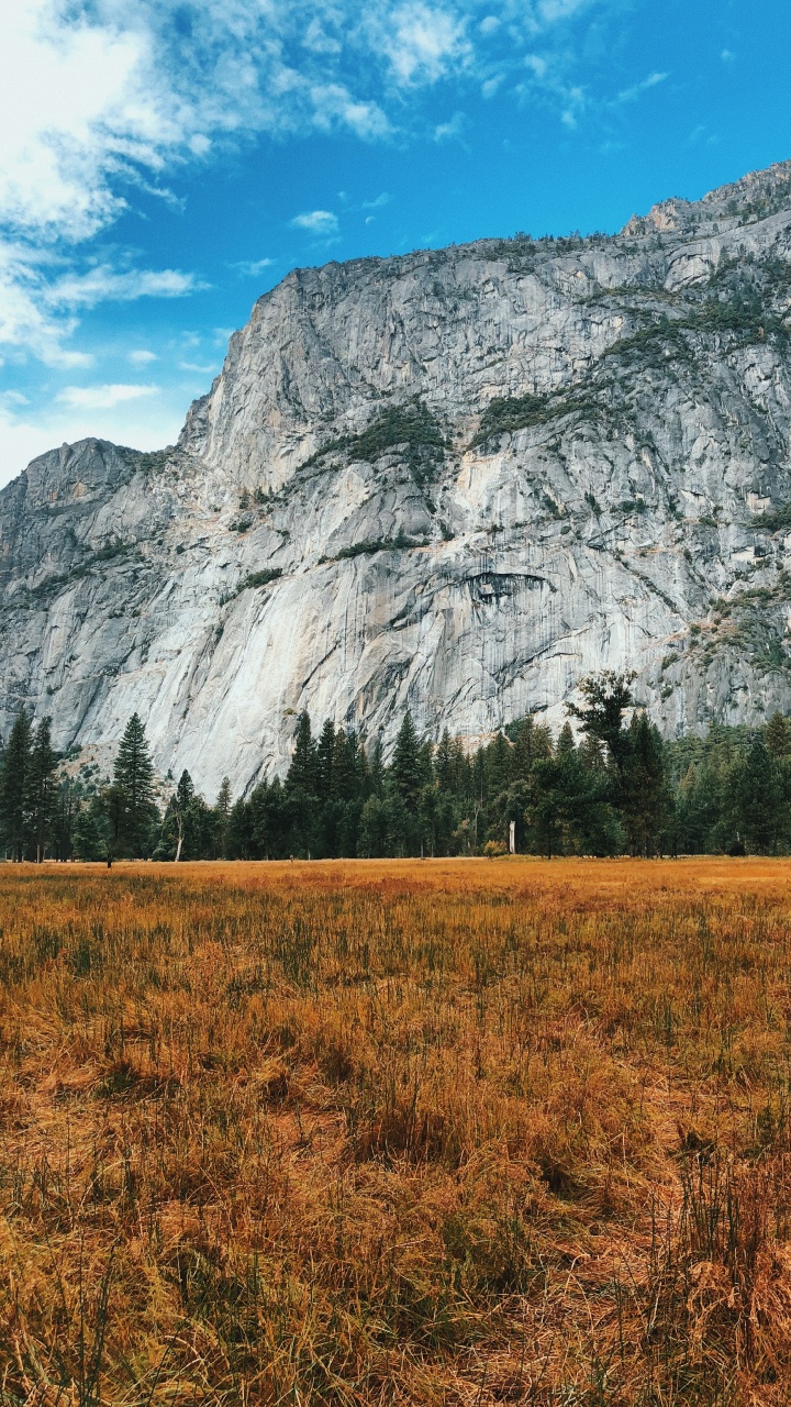 California, Usa, Yosemite Valley, Yosemite National Park, Mountainous Landforms. Wallpaper in 720x1280 Resolution