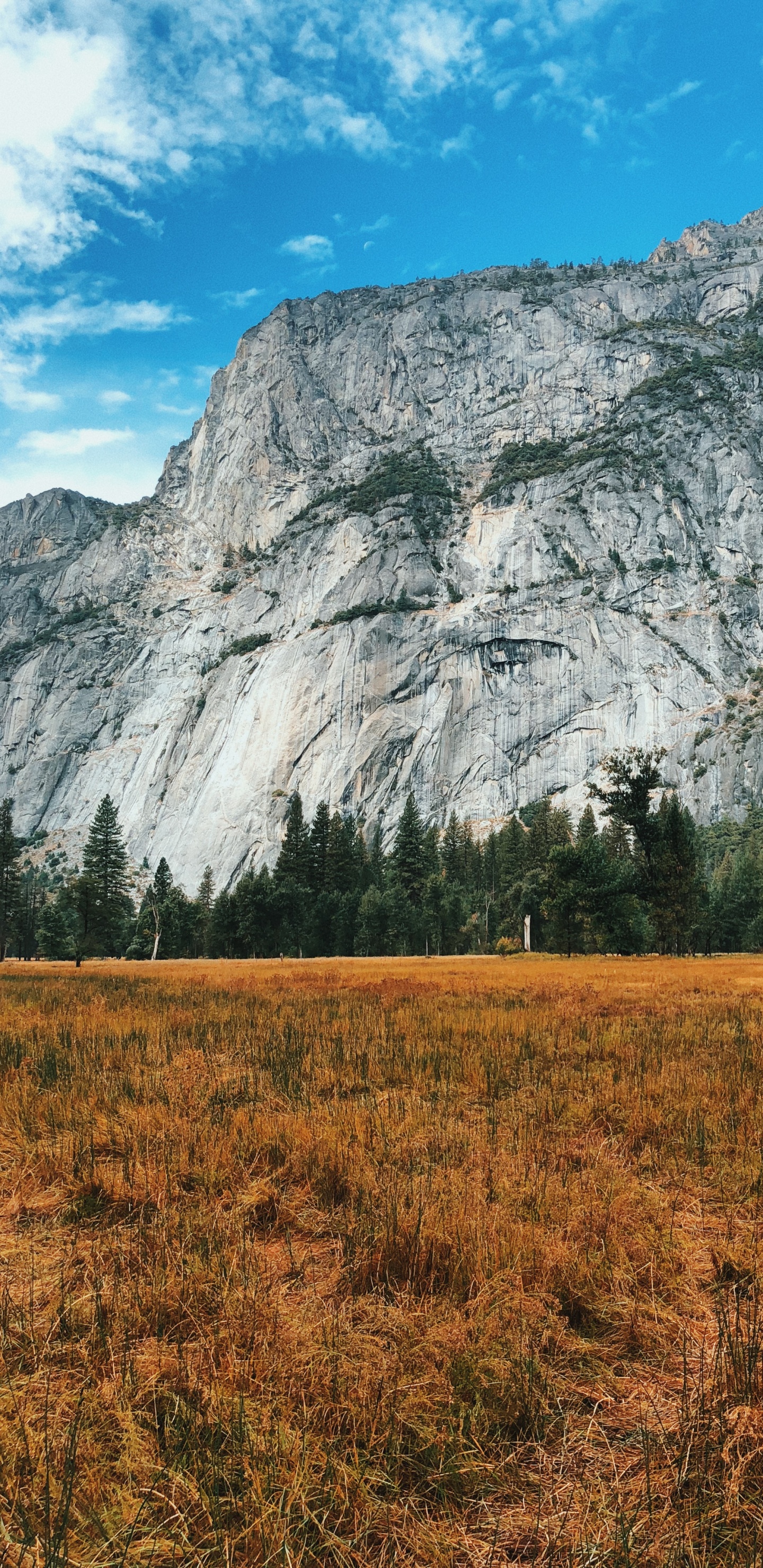 Kalifornien, USA, Yosemite Valley, Yosemite National Park, Bergigen Landschaftsformen. Wallpaper in 1440x2960 Resolution