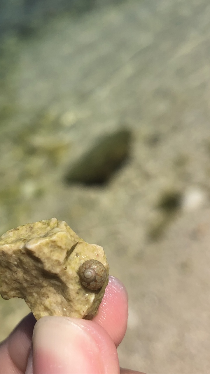 Rock, Mineral, Finger, Kaki, Close Up. Wallpaper in 720x1280 Resolution