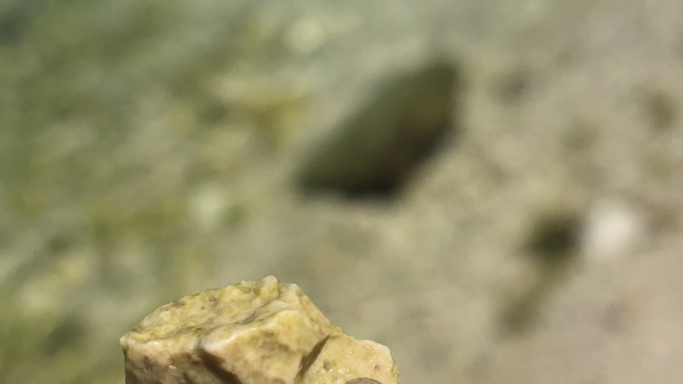Rock, Mineral, Finger, Khaki, Close Up. Wallpaper in 1366x768 Resolution