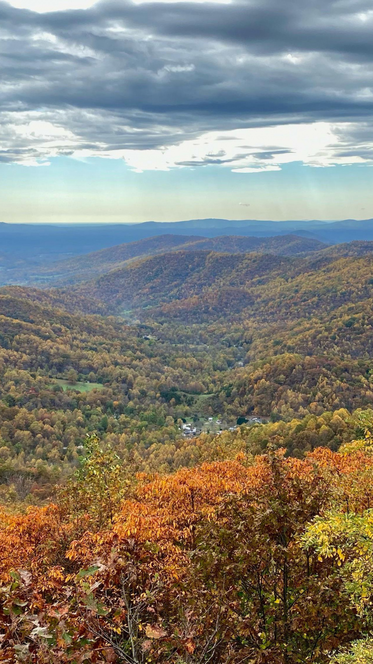Feuille, Asheville, Blue Ridge Parkway, Paysage Naturel, Highland. Wallpaper in 750x1334 Resolution