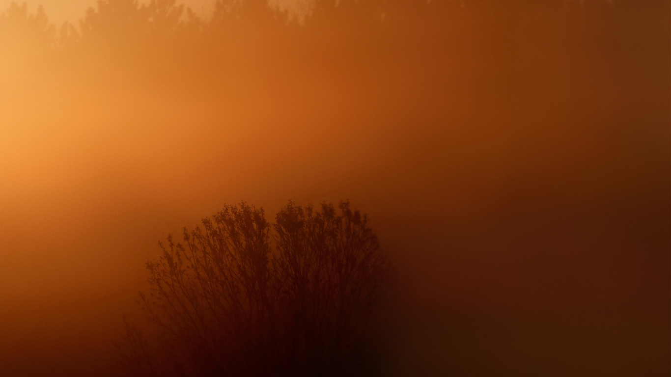 LG, LG X Venture, Nature, Brown, Yellow. Wallpaper in 1366x768 Resolution