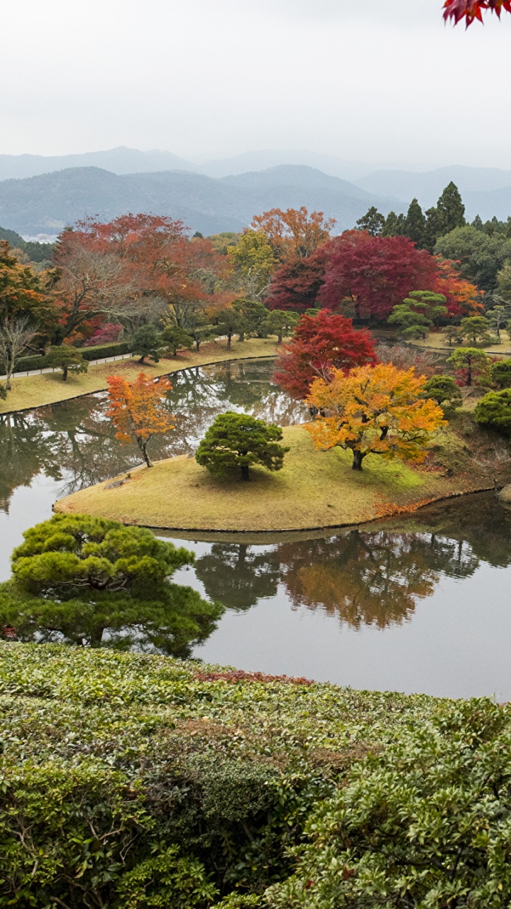 性质, 反射, 花园, 植被, 工厂 壁纸 720x1280 允许