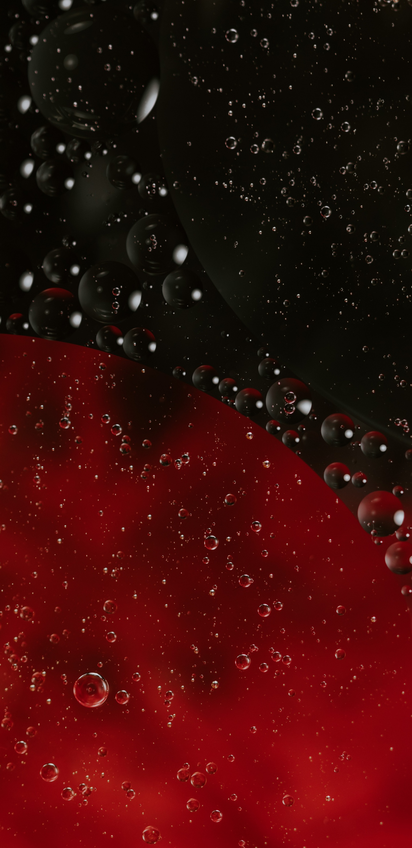 Gouttes D'eau Sur la Surface du Verre. Wallpaper in 1440x2960 Resolution