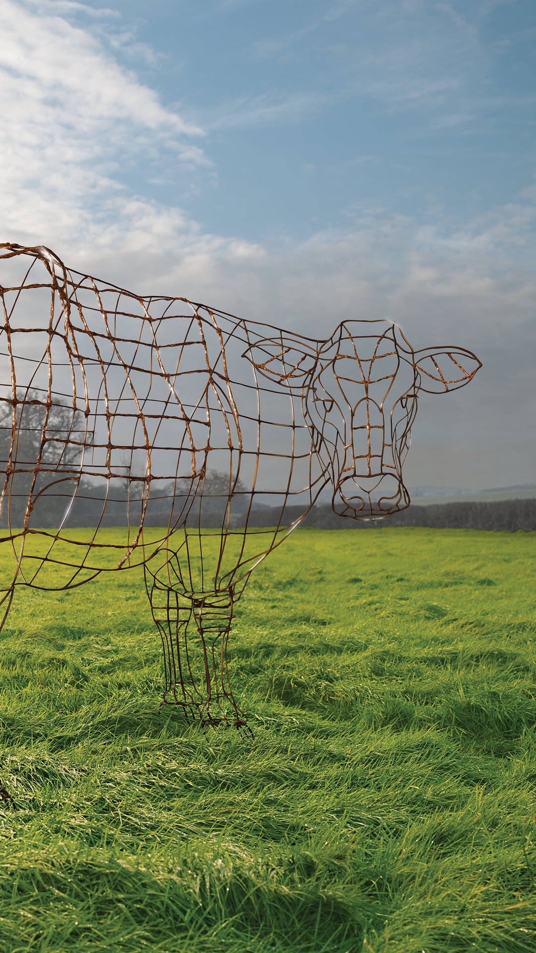 White Metal Fence on Green Grass Field Under Blue Sky During Daytime. Wallpaper in 1080x1920 Resolution