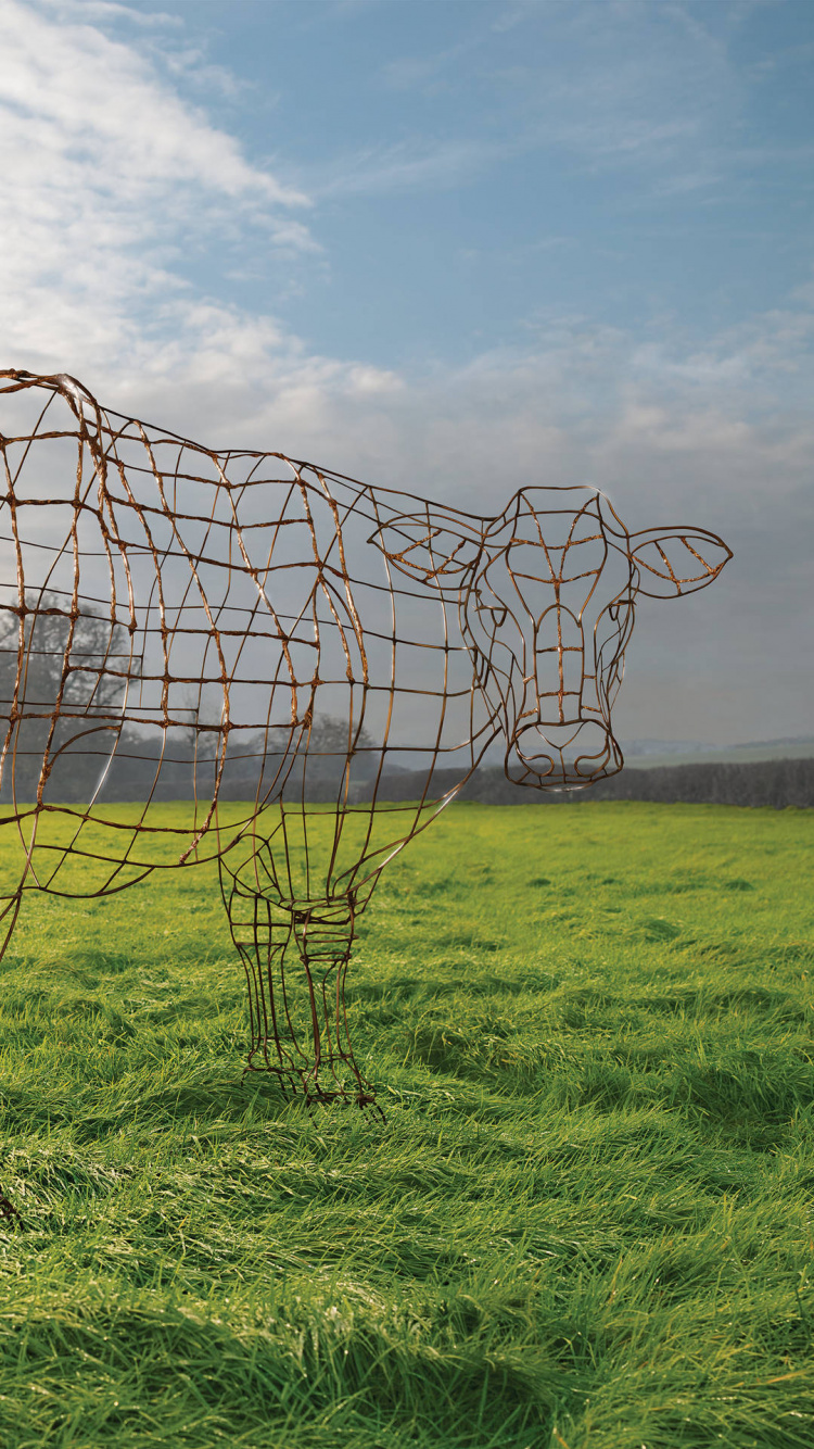 平克*弗洛伊德, 艺术, 草, 农村地区, 外结构 壁纸 750x1334 允许