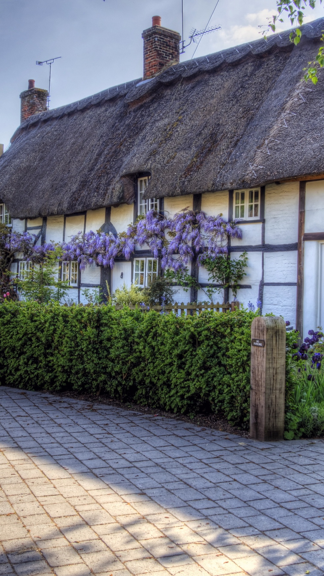 Casa Blanca y Marrón Cerca de Plantas Verdes Durante el Día. Wallpaper in 1080x1920 Resolution