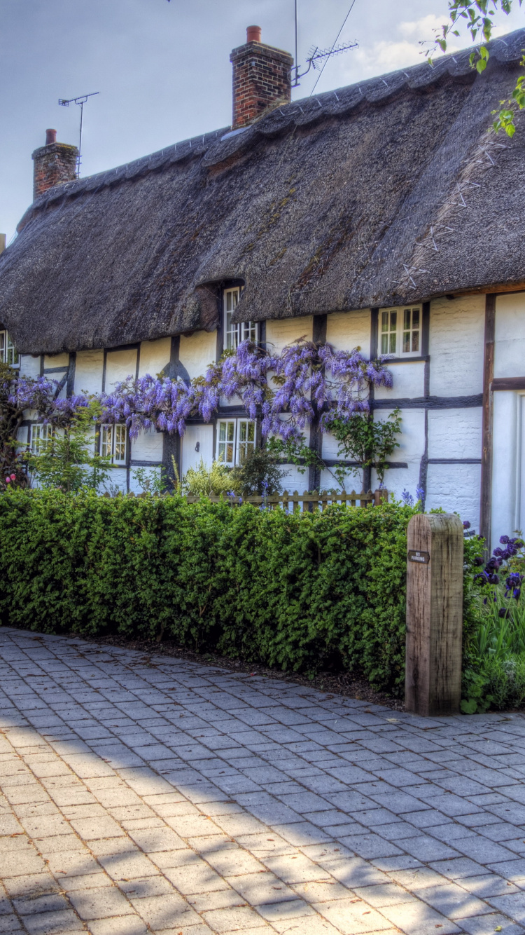 Maison Blanche et Brune Près Des Plantes Vertes Pendant la Journée. Wallpaper in 750x1334 Resolution