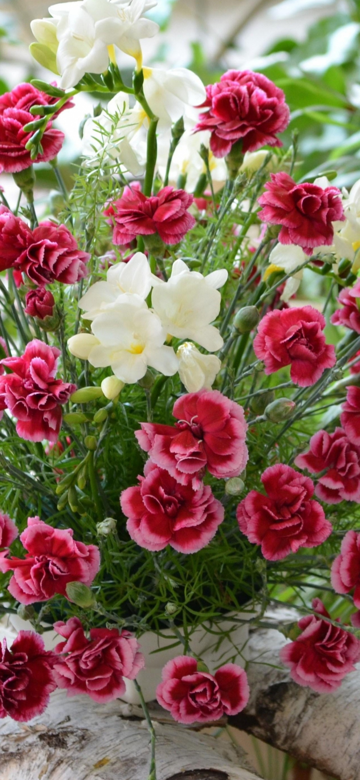 Red and White Flowers on White Textile. Wallpaper in 1242x2688 Resolution
