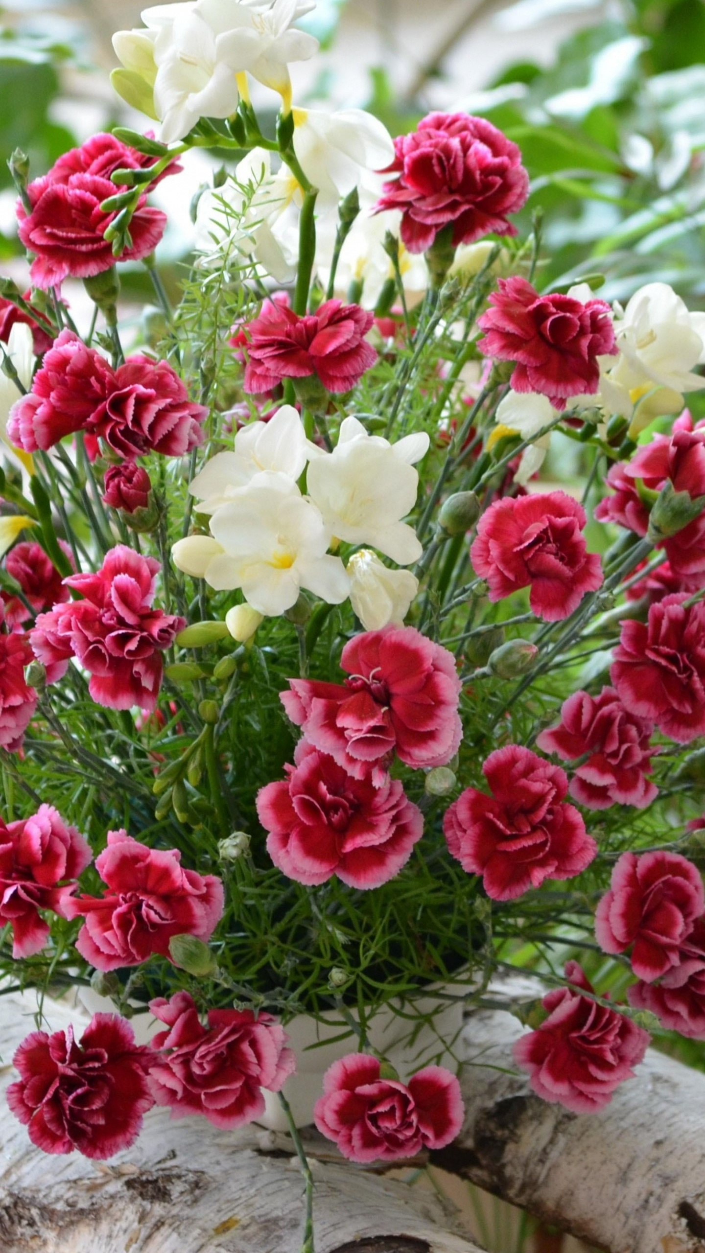 Red and White Flowers on White Textile. Wallpaper in 1440x2560 Resolution