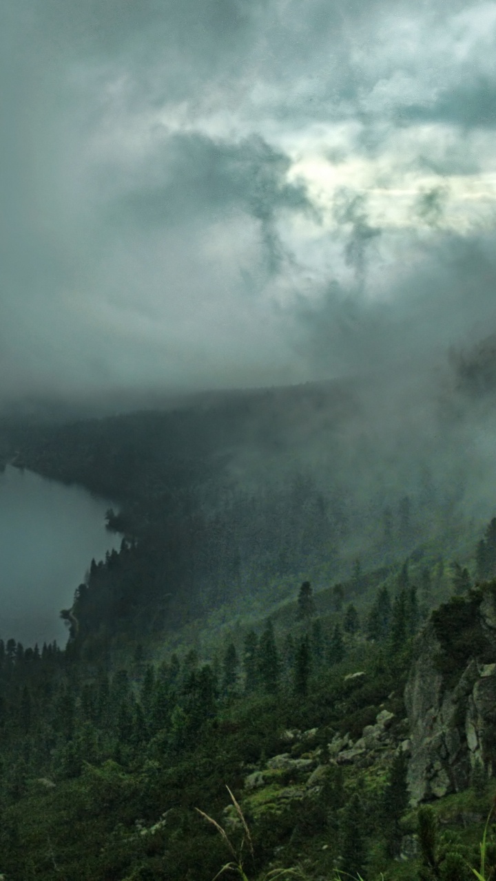 Green Trees Near Body of Water Under White Clouds. Wallpaper in 720x1280 Resolution