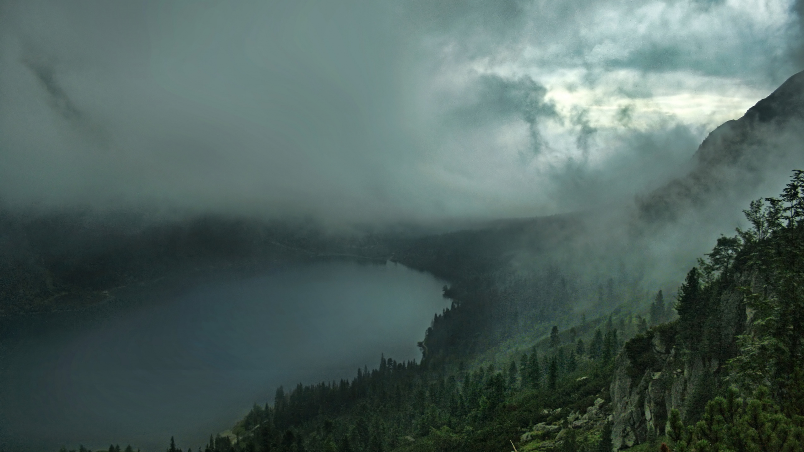 山站, 高地, 雾, 荒野, 森林 壁纸 2560x1440 允许