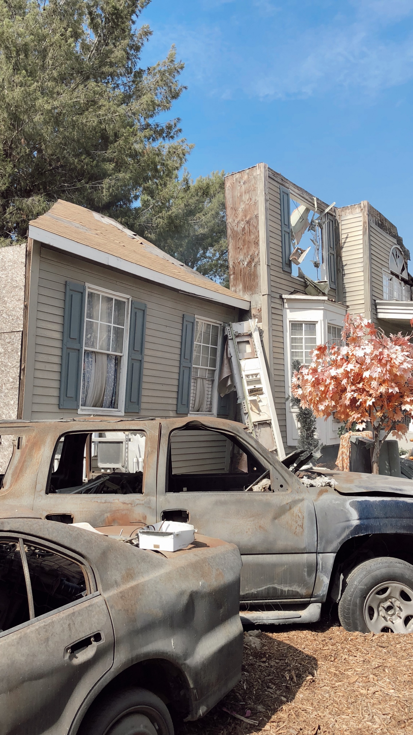 Family Car, King, Compact Car, Subcompact Car, Mid Size Car. Wallpaper in 1440x2560 Resolution