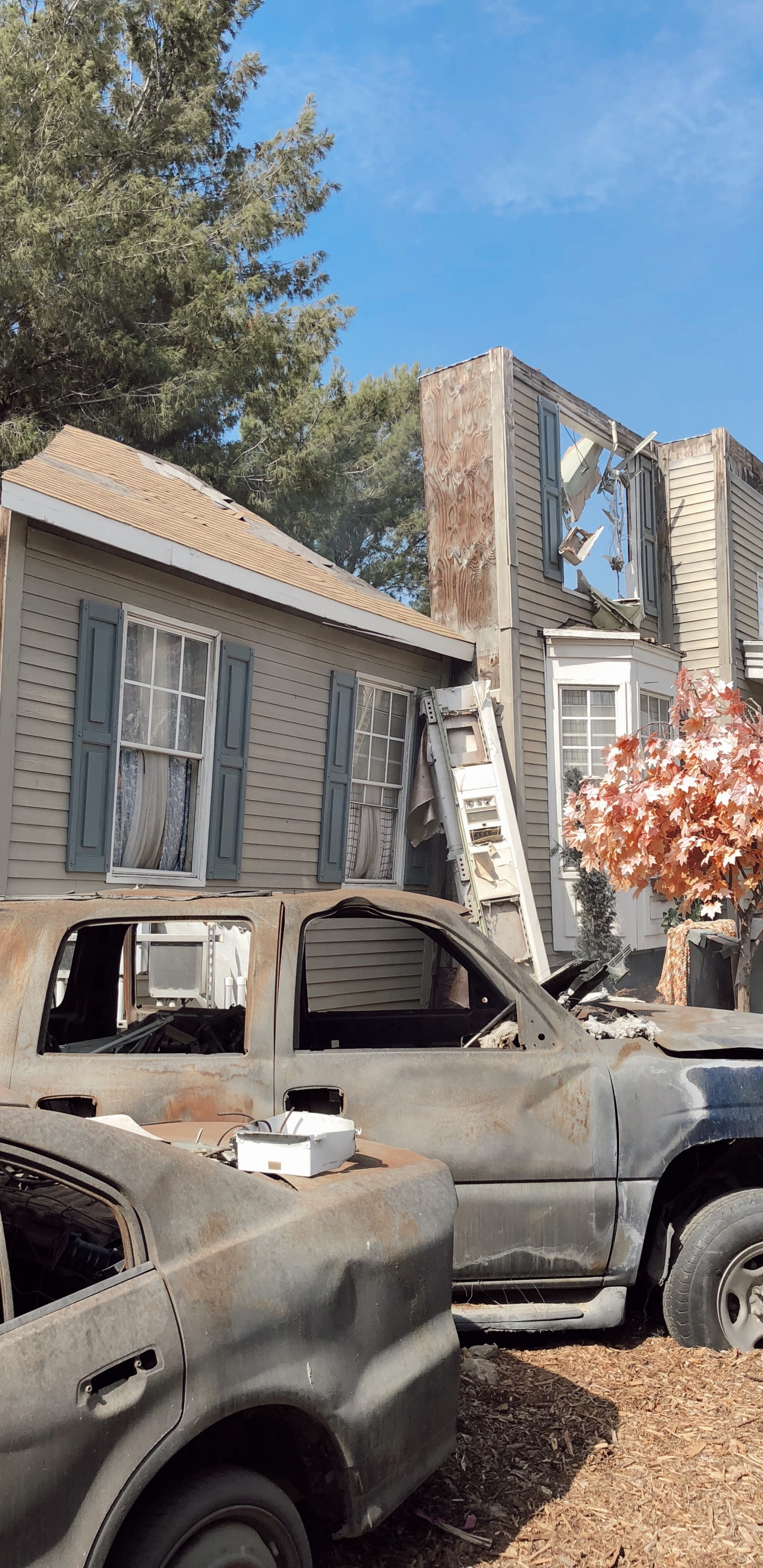 Family Car, King, Compact Car, Subcompact Car, Mid Size Car. Wallpaper in 1440x2960 Resolution