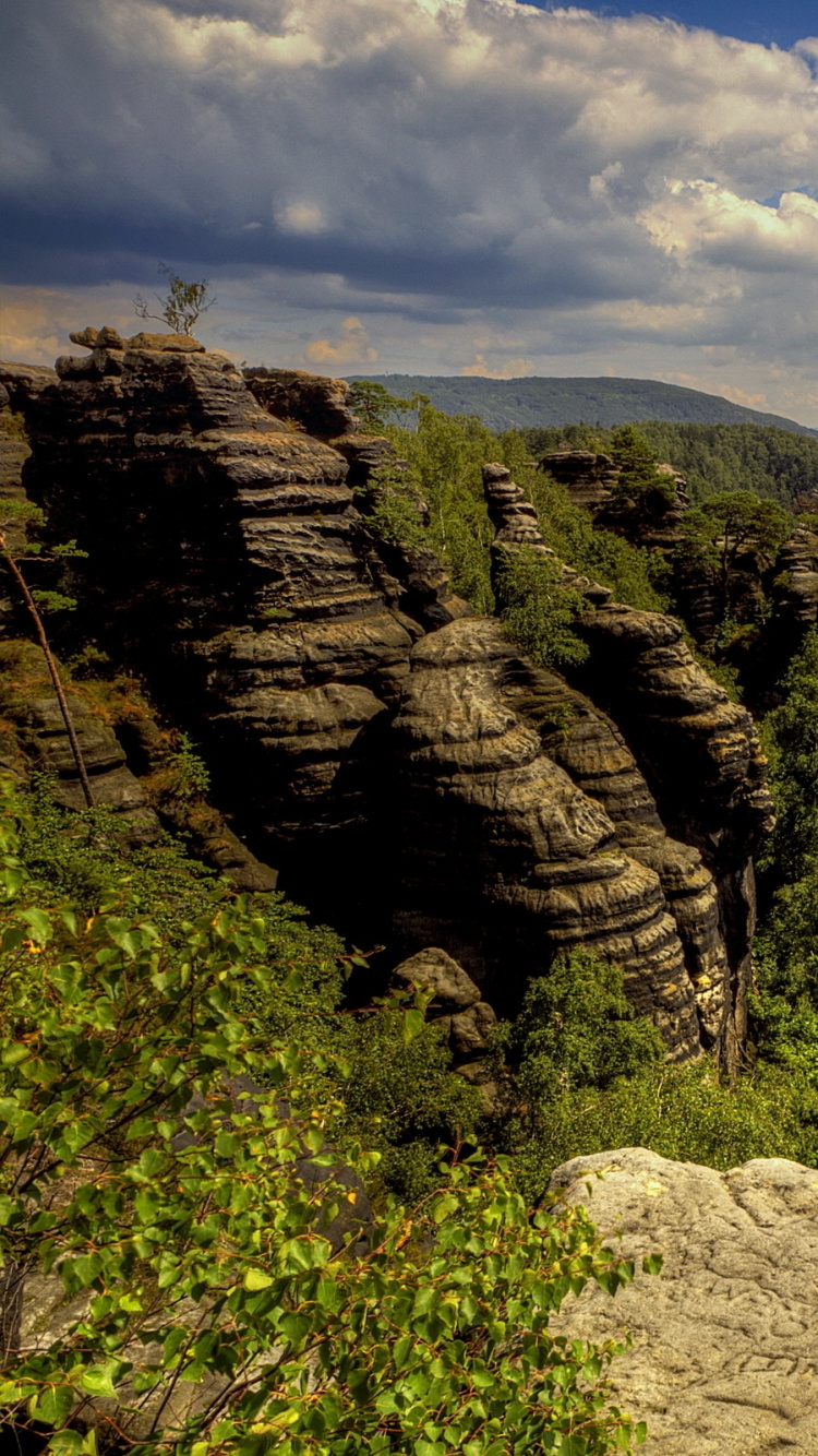 Árboles Verdes en la Montaña Bajo Nubes Blancas Durante el Día. Wallpaper in 750x1334 Resolution