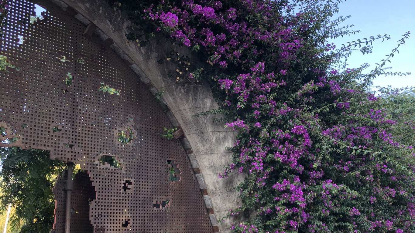 Ciencia, la Física, Morado, Arbusto, Lavanda. Wallpaper in 1366x768 Resolution