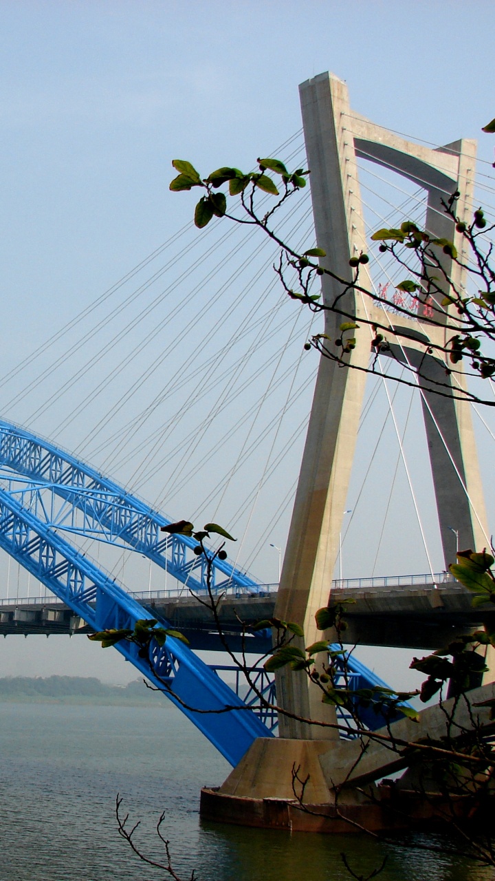 Pont Blanc et Marron Sous Ciel Blanc Pendant la Journée. Wallpaper in 720x1280 Resolution