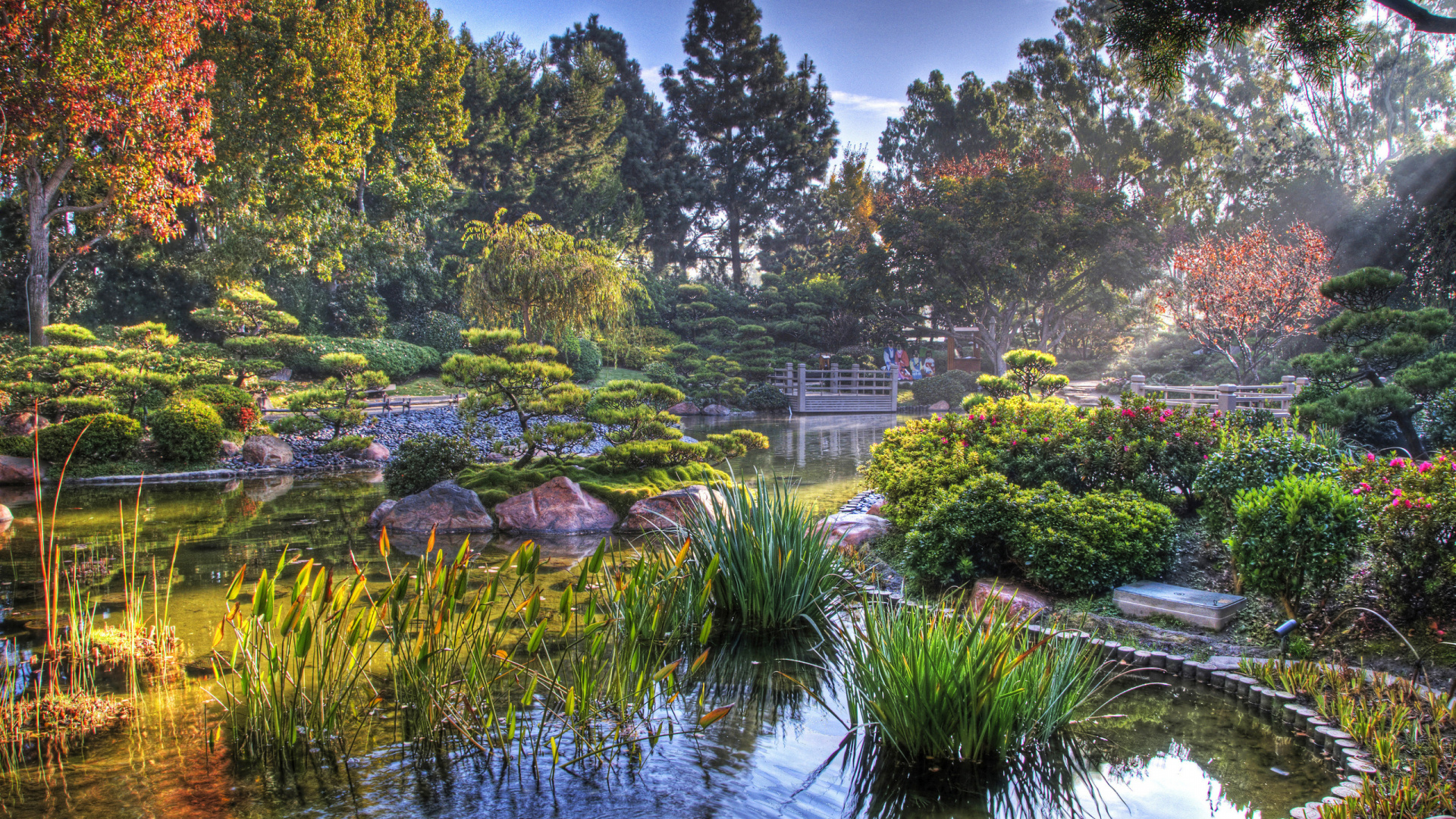 Árboles Verdes Junto al Río Bajo un Cielo Azul Durante el Día. Wallpaper in 1920x1080 Resolution
