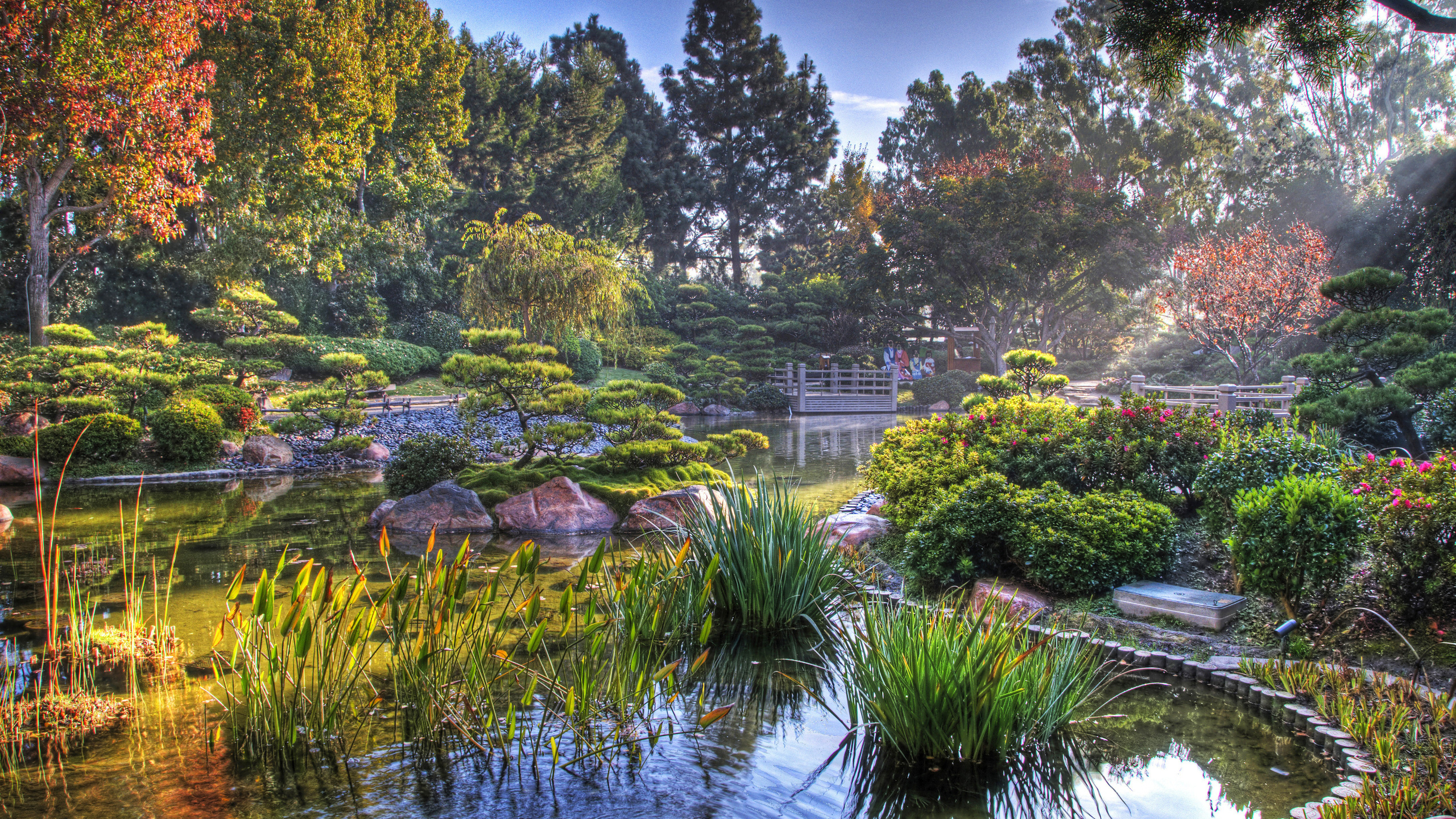 Árboles Verdes Junto al Río Bajo un Cielo Azul Durante el Día. Wallpaper in 2560x1440 Resolution