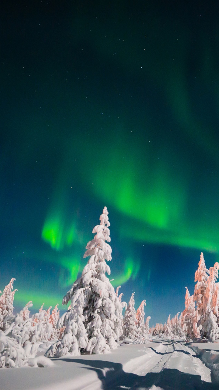 Green Aurora Lights Over Snow Covered Ground During Night Time. Wallpaper in 720x1280 Resolution