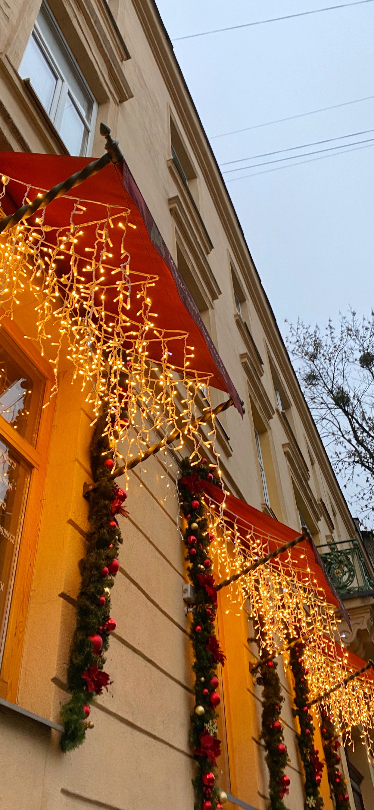 Architektur, Fenster, Branch, Fassade, Nachbarschaft. Wallpaper in 1242x2688 Resolution