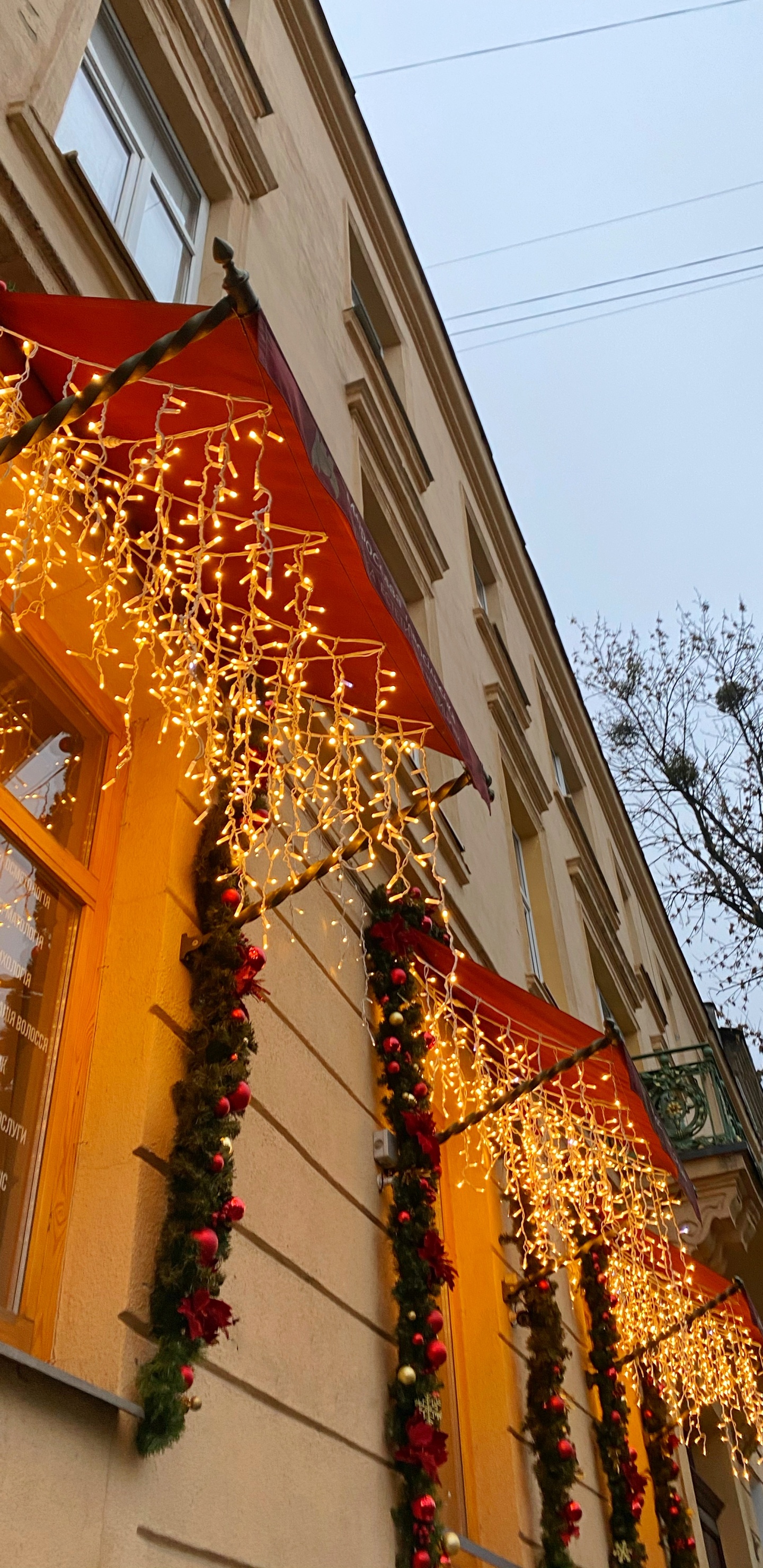 Architektur, Fenster, Branch, Fassade, Nachbarschaft. Wallpaper in 1440x2960 Resolution