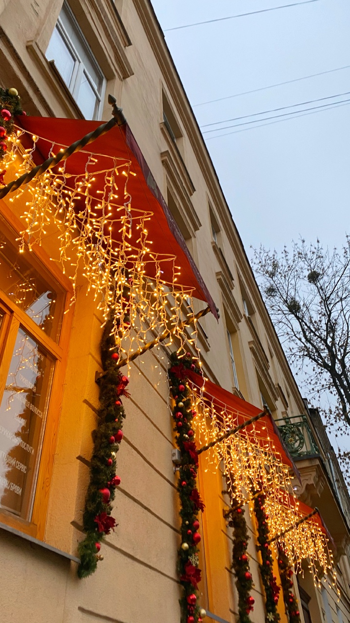 Architektur, Fenster, Branch, Fassade, Nachbarschaft. Wallpaper in 720x1280 Resolution