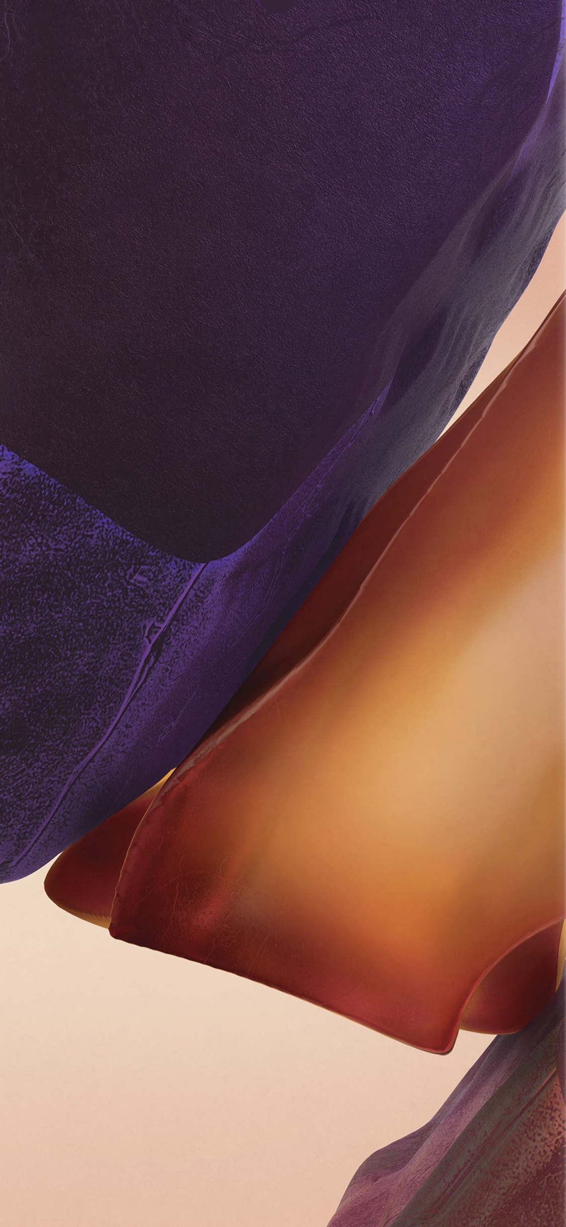 Samsung Galaxy, Samsung, Samsung Galaxy Note 20, Smartphone, Fhd. Wallpaper in 1125x2436 Resolution