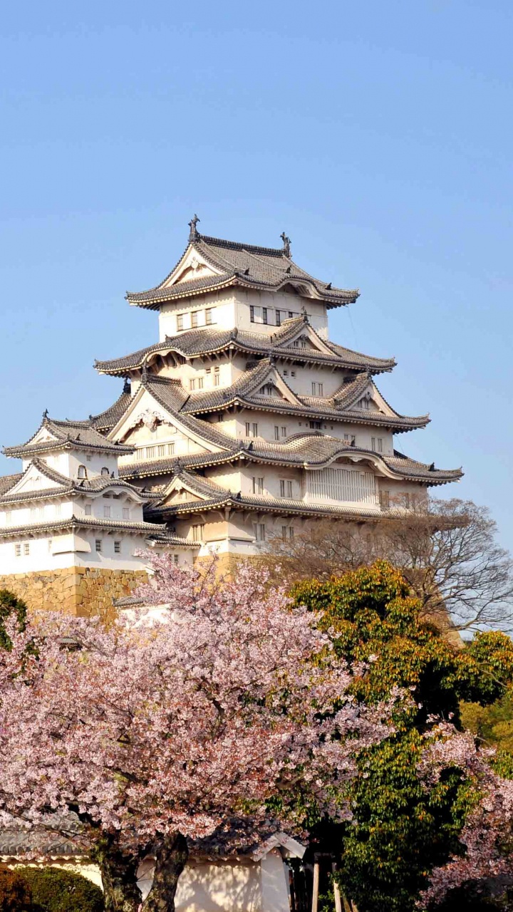Edificio de Hormigón Blanco y Gris Cerca de Árboles Verdes Bajo un Cielo Azul Durante el Día. Wallpaper in 720x1280 Resolution