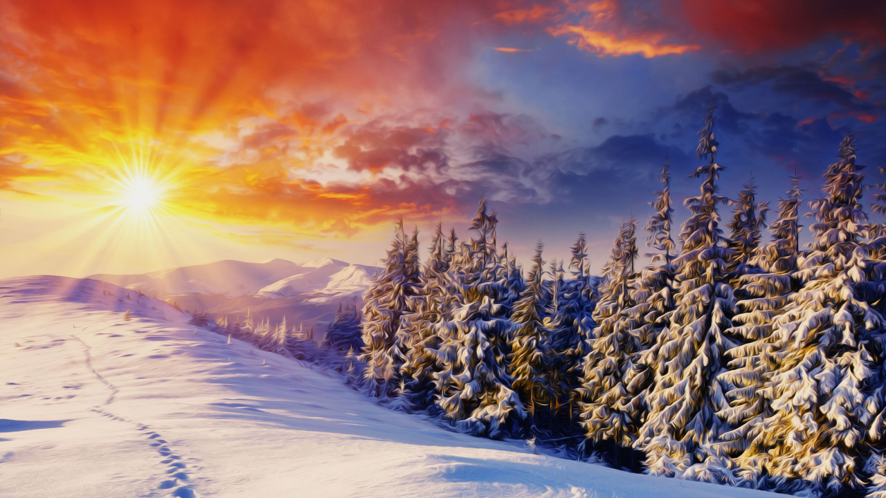 Arbres Couverts de Neige au Coucher du Soleil. Wallpaper in 1280x720 Resolution