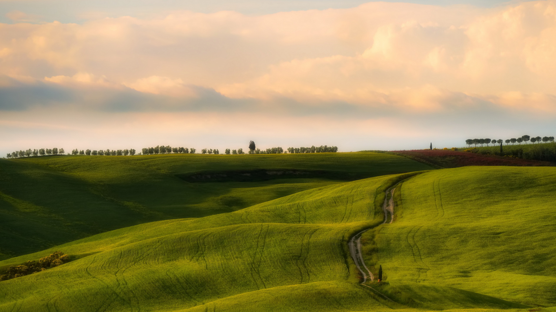 Green Grass Field Under Cloudy Sky During Daytime. Wallpaper in 1920x1080 Resolution