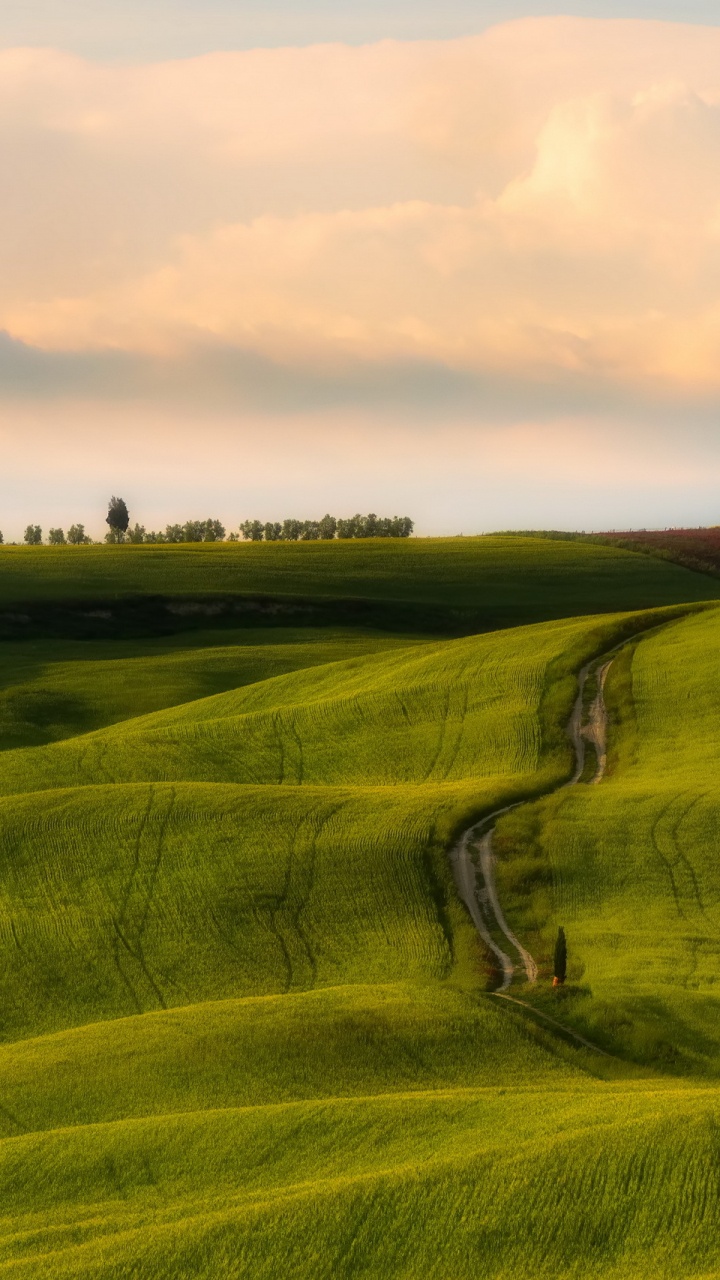 Green Grass Field Under Cloudy Sky During Daytime. Wallpaper in 720x1280 Resolution