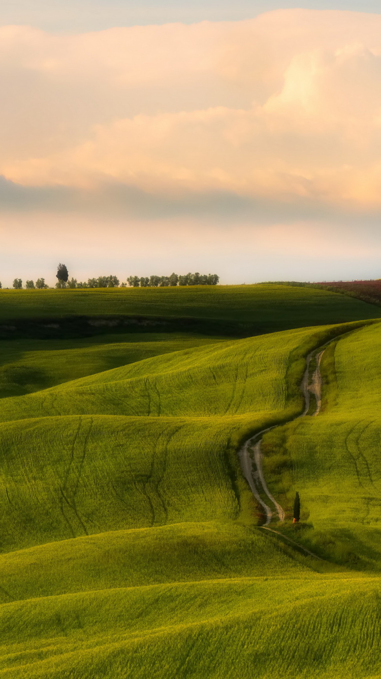 Green Grass Field Under Cloudy Sky During Daytime. Wallpaper in 750x1334 Resolution