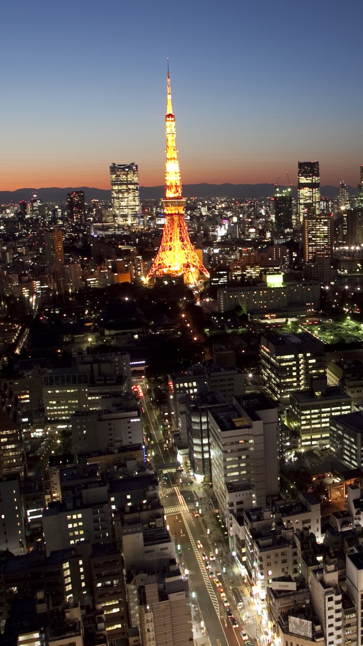 Horizon de la Ville Pendant la Nuit. Wallpaper in 720x1280 Resolution