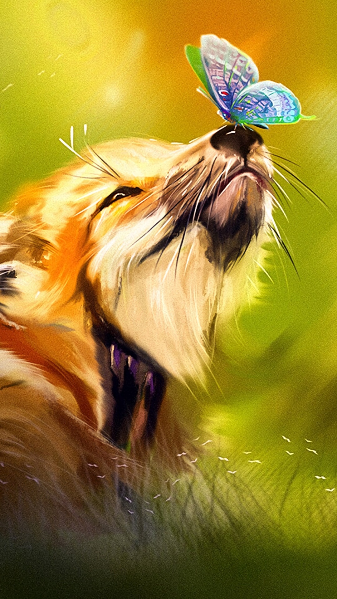 体育组, 关闭了, 野生动物, 性质, 草 壁纸 1080x1920 允许