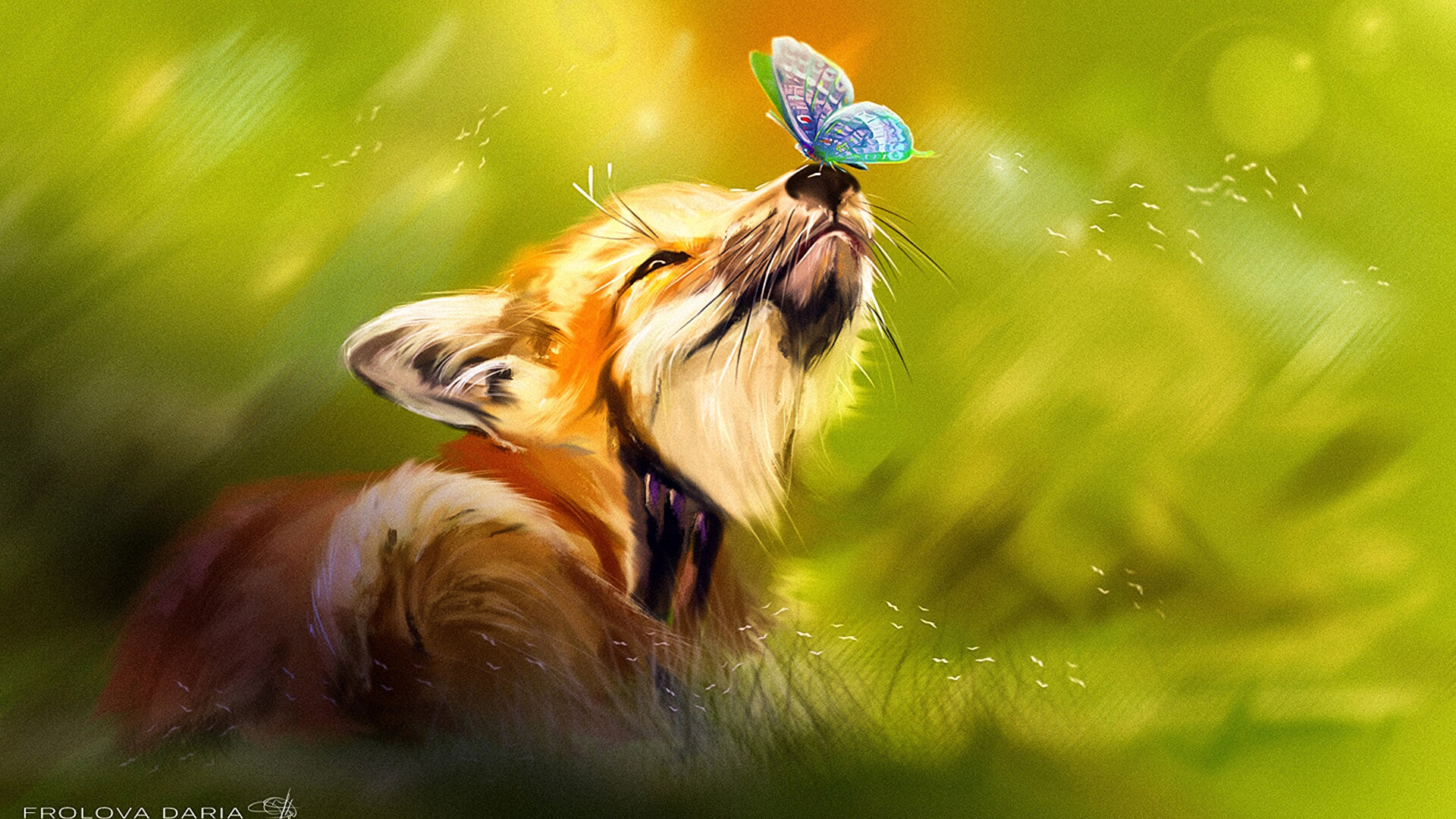 体育组, 关闭了, 野生动物, 性质, 草 壁纸 1920x1080 允许