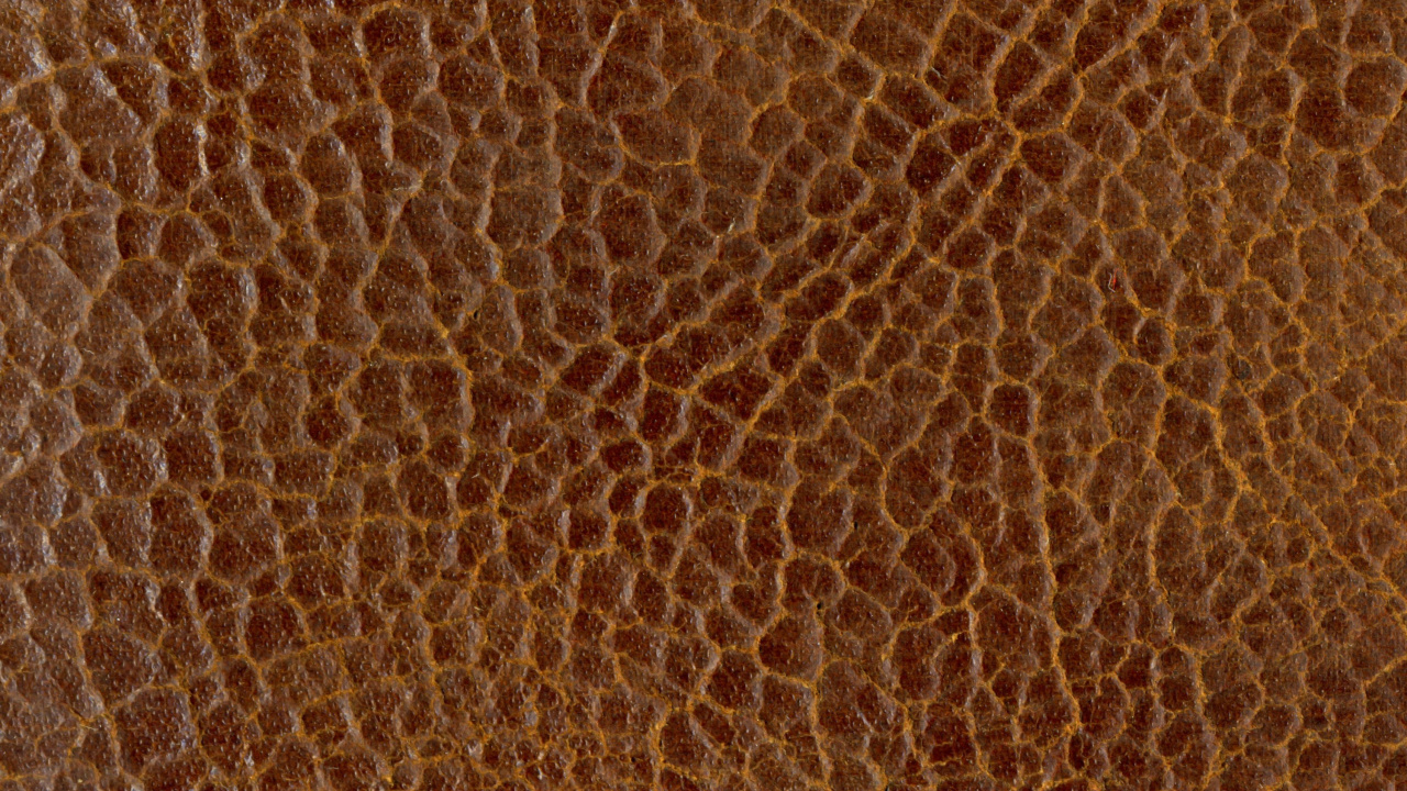 Braunes Und Weißes Leoparden-Textil. Wallpaper in 1280x720 Resolution