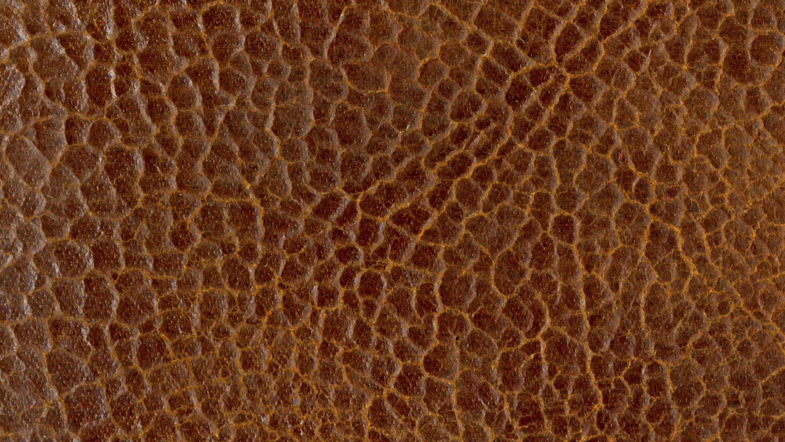 Braunes Und Weißes Leoparden-Textil. Wallpaper in 2560x1440 Resolution