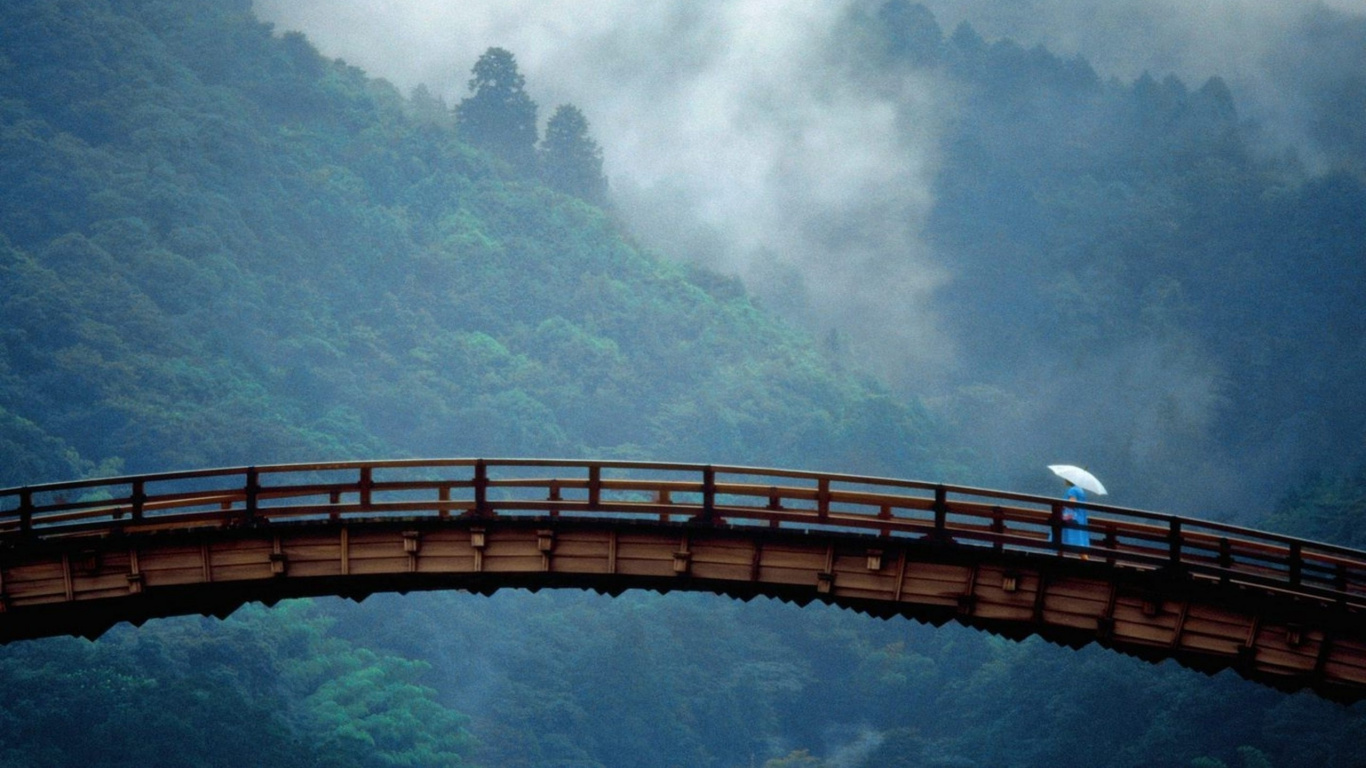 Brown Wooden Bridge Over Green Trees Covered With Fog. Wallpaper in 1366x768 Resolution