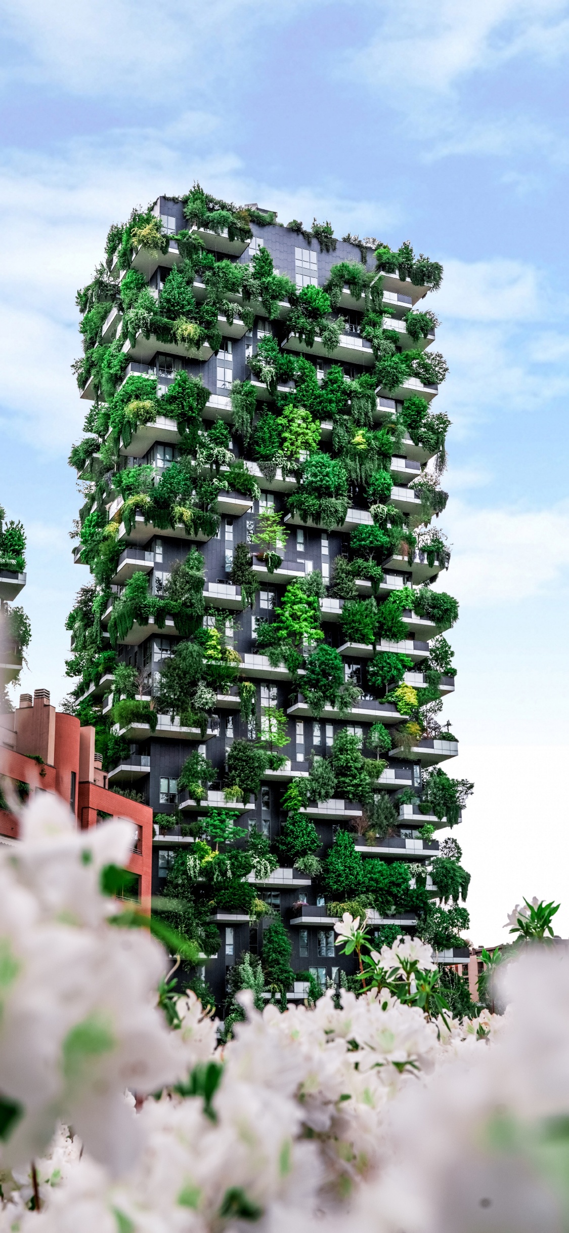 Árbol Verde Cerca Del Edificio Marrón Durante el Día. Wallpaper in 1125x2436 Resolution