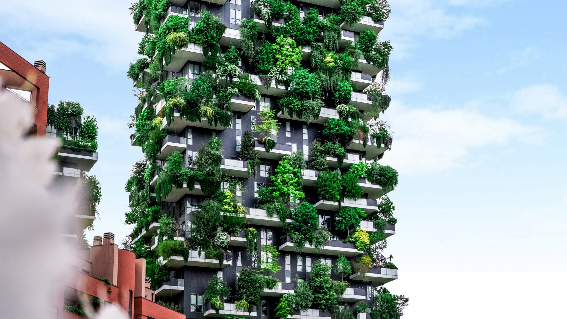 Green Tree Near Brown Building During Daytime. Wallpaper in 1920x1080 Resolution