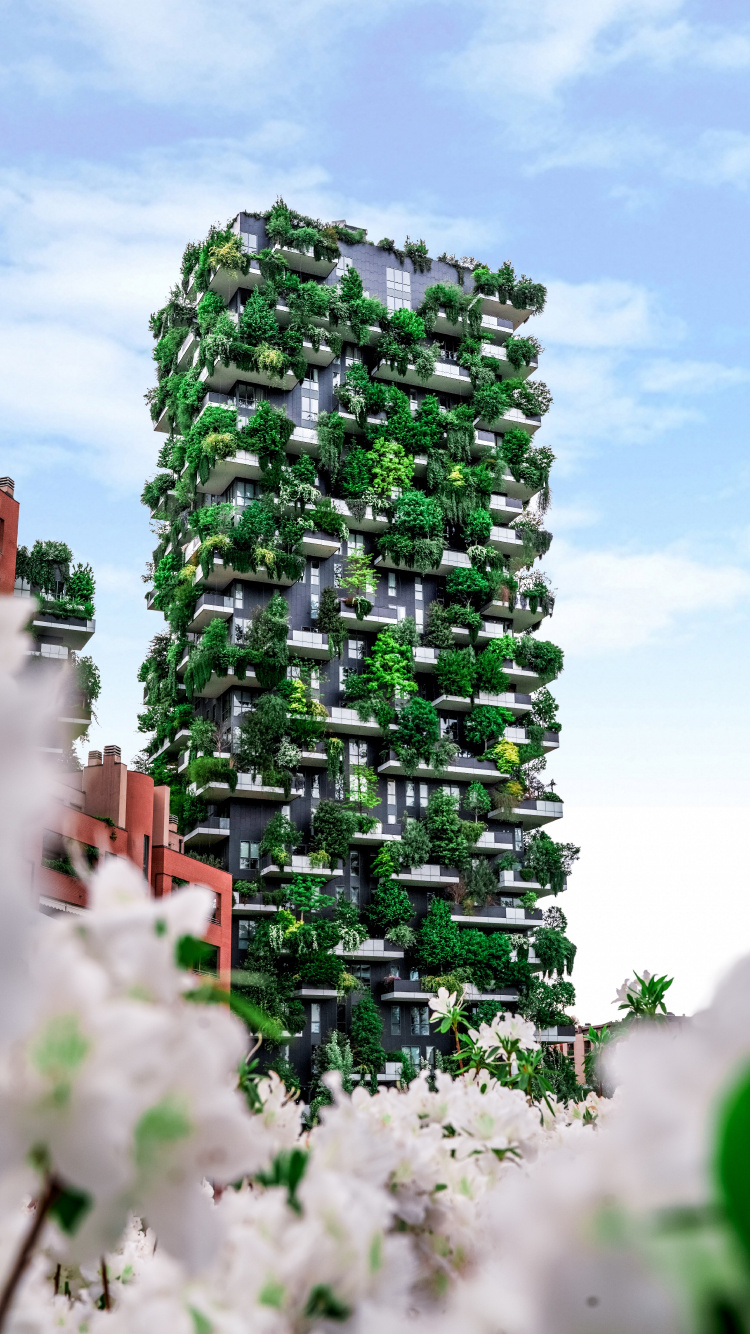 Green Tree Near Brown Building During Daytime. Wallpaper in 750x1334 Resolution