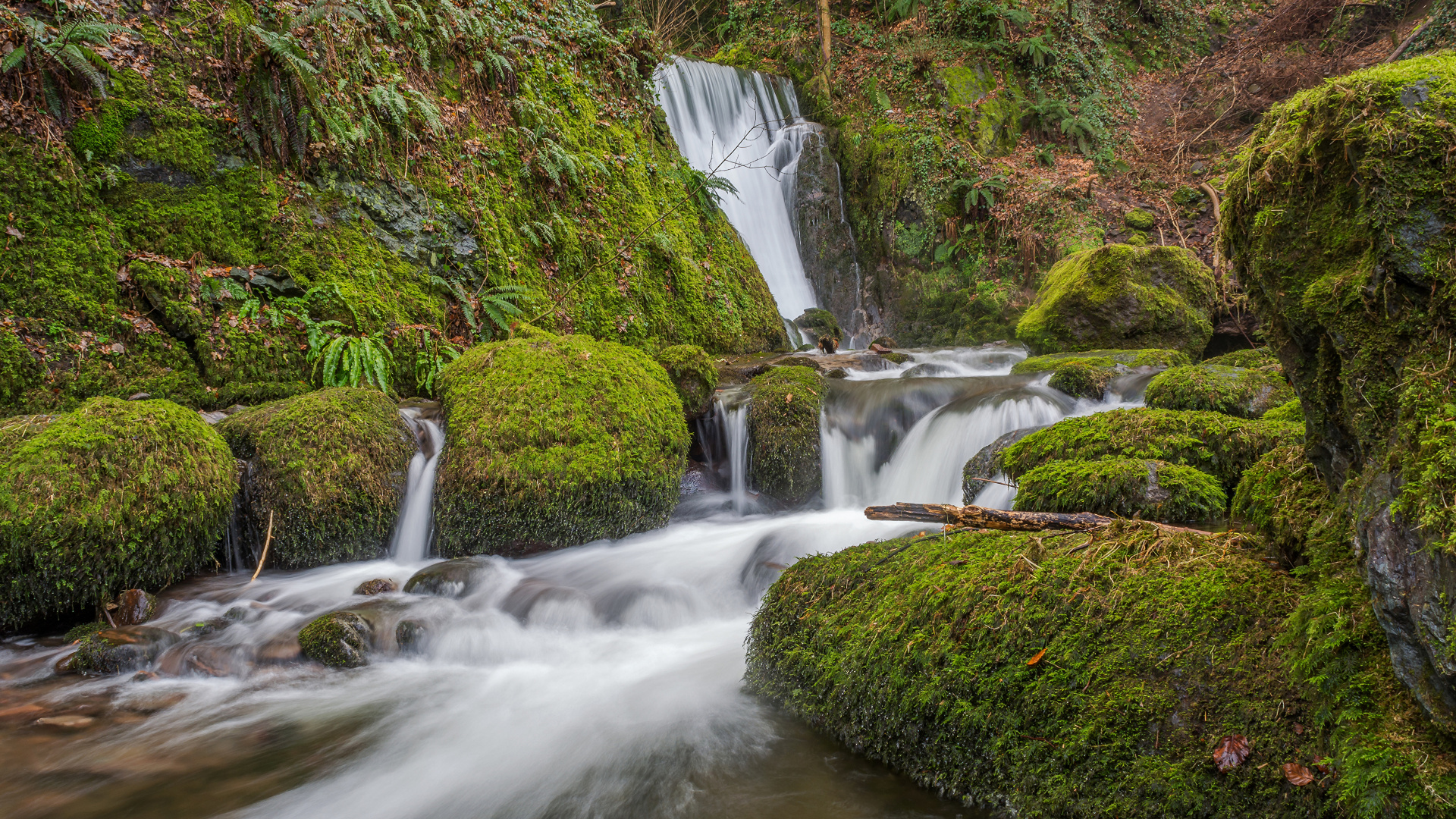 Green Moss on Brown Rock Near Waterfalls. Wallpaper in 1920x1080 Resolution