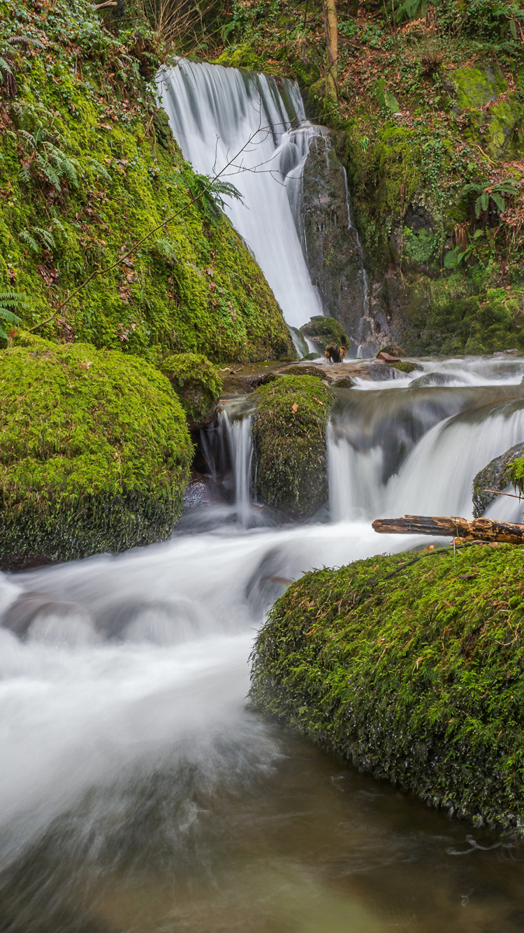 Musgo Verde Sobre Roca Marrón Cerca de Cascadas. Wallpaper in 750x1334 Resolution