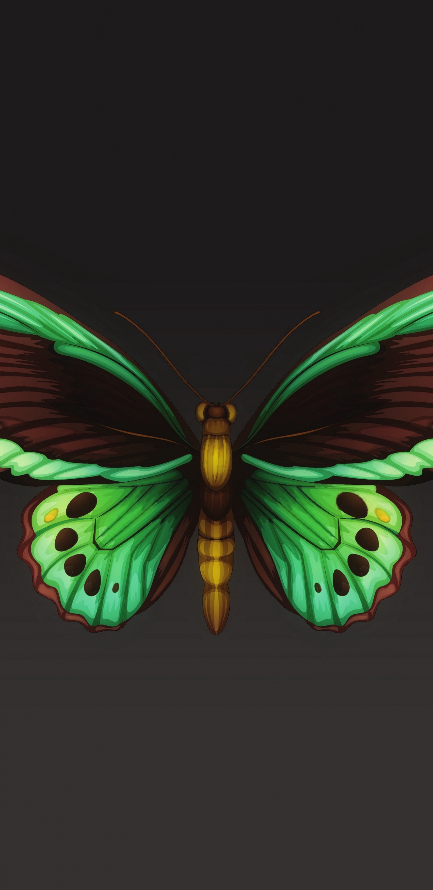 Alas de Mariposa Moradas y Negras. Wallpaper in 1440x2960 Resolution