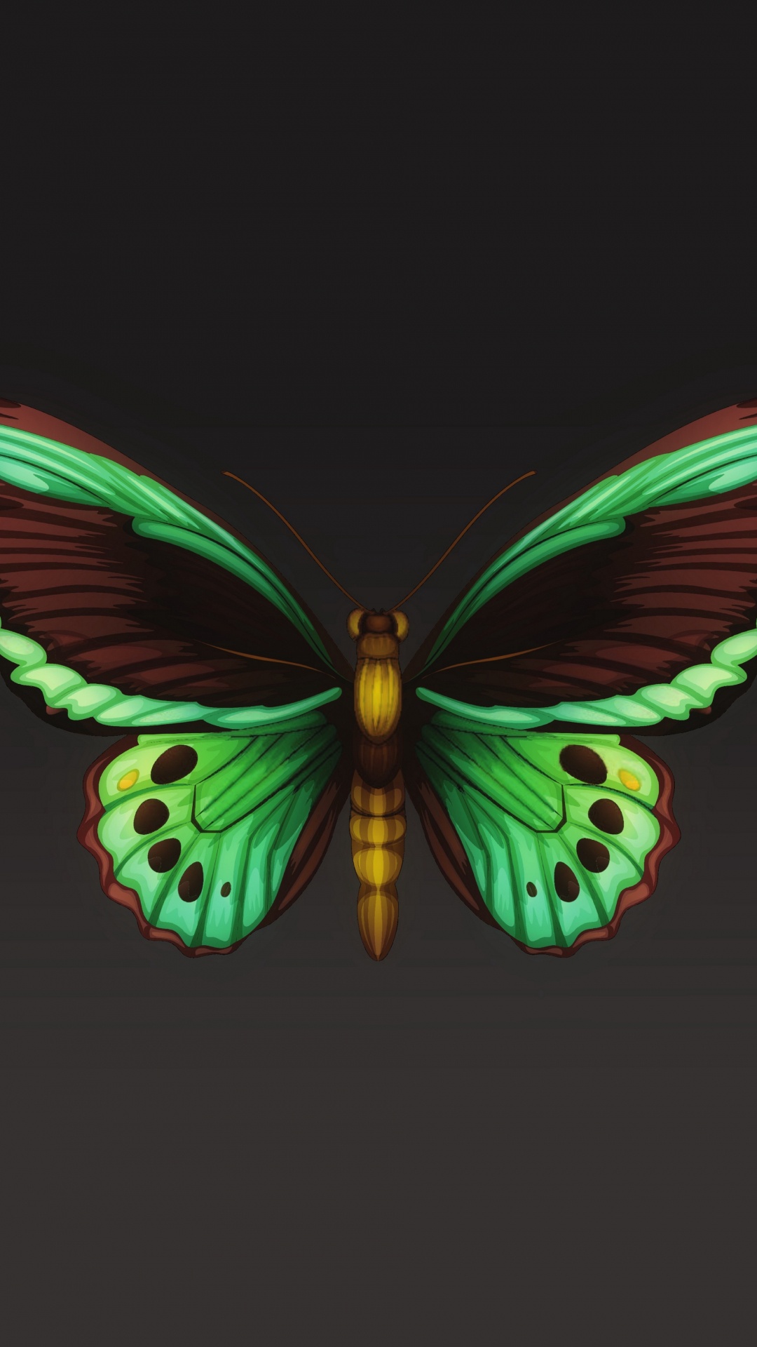 Lila Und Schwarze Schmetterlingsflügel. Wallpaper in 1080x1920 Resolution