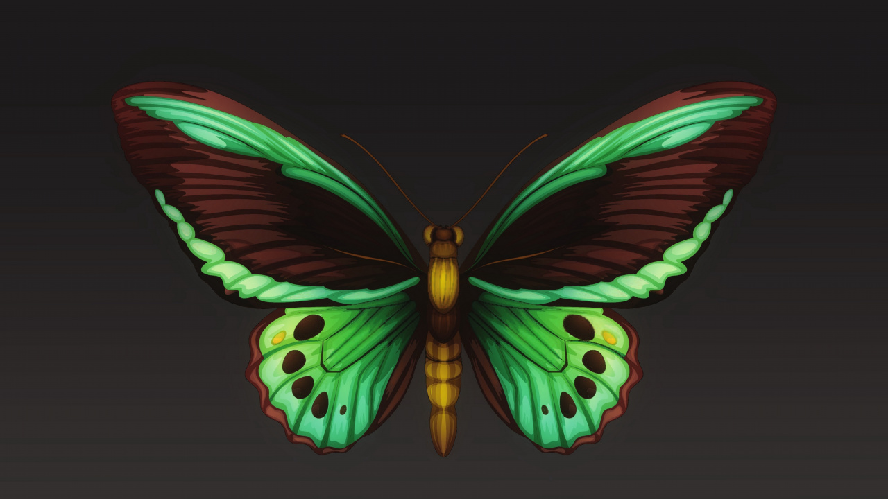 Lila Und Schwarze Schmetterlingsflügel. Wallpaper in 1280x720 Resolution