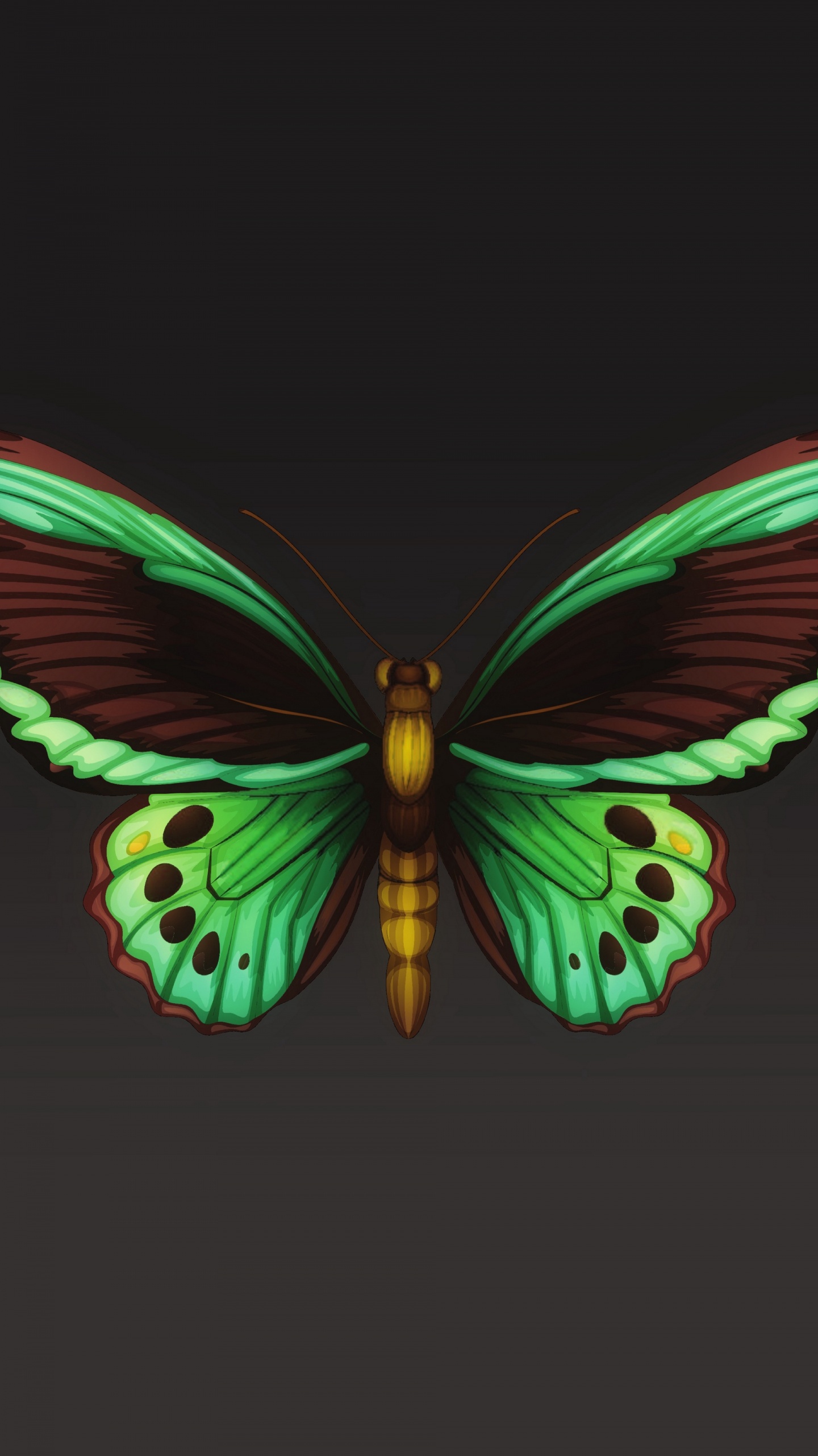 Lila Und Schwarze Schmetterlingsflügel. Wallpaper in 1440x2560 Resolution