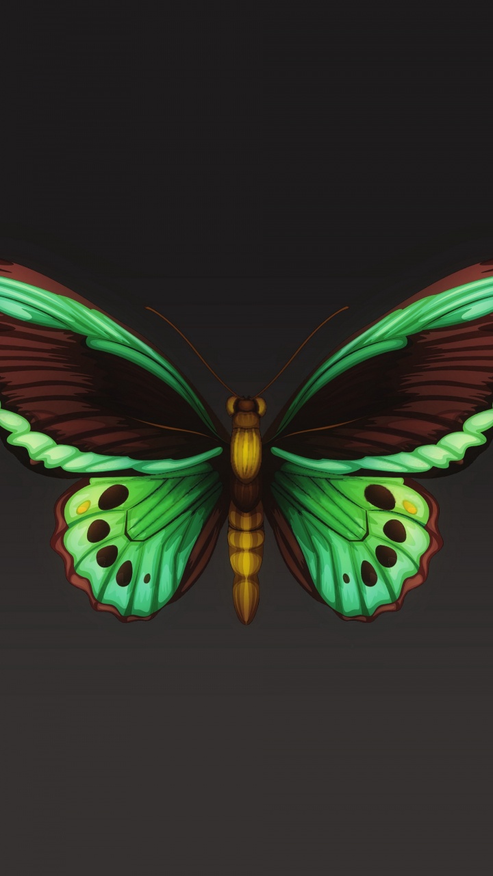 Lila Und Schwarze Schmetterlingsflügel. Wallpaper in 720x1280 Resolution